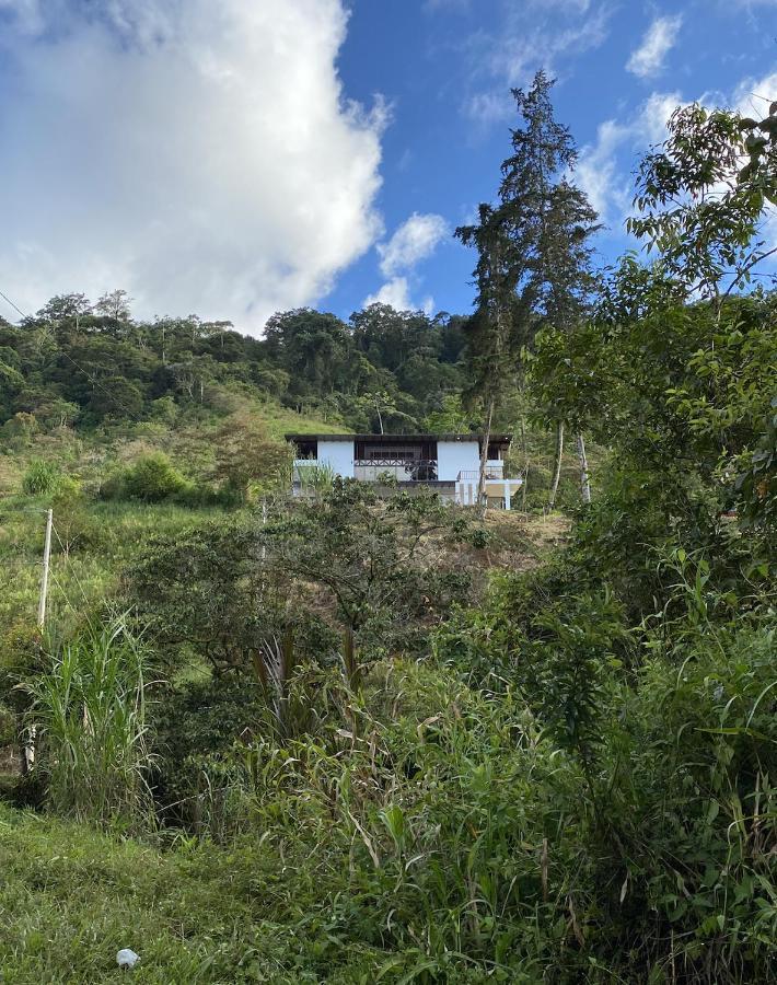 Arte De Plumas Birding Lodge Cartago Ngoại thất bức ảnh