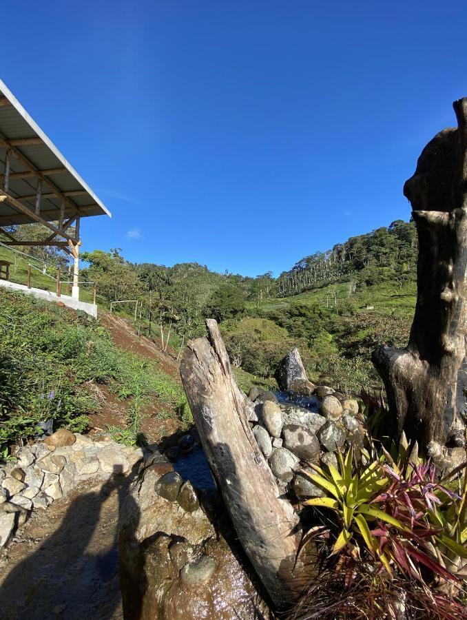 Arte De Plumas Birding Lodge Cartago Ngoại thất bức ảnh