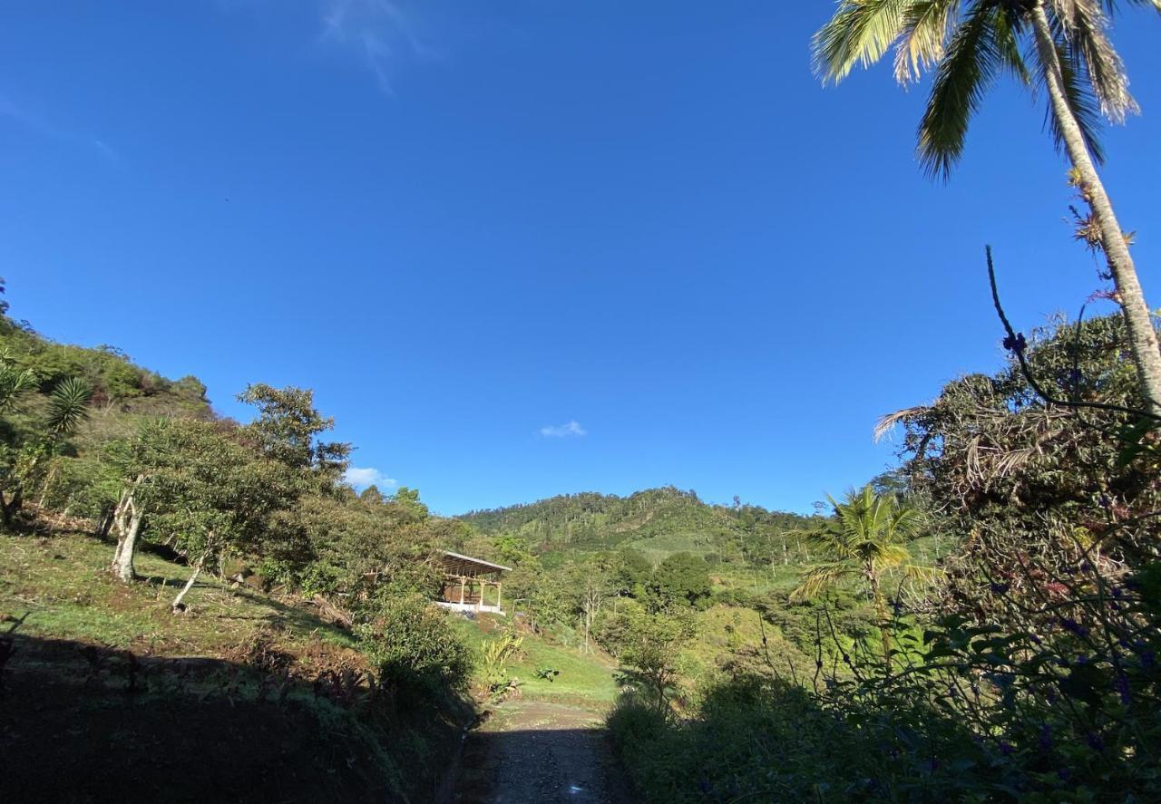 Arte De Plumas Birding Lodge Cartago Ngoại thất bức ảnh