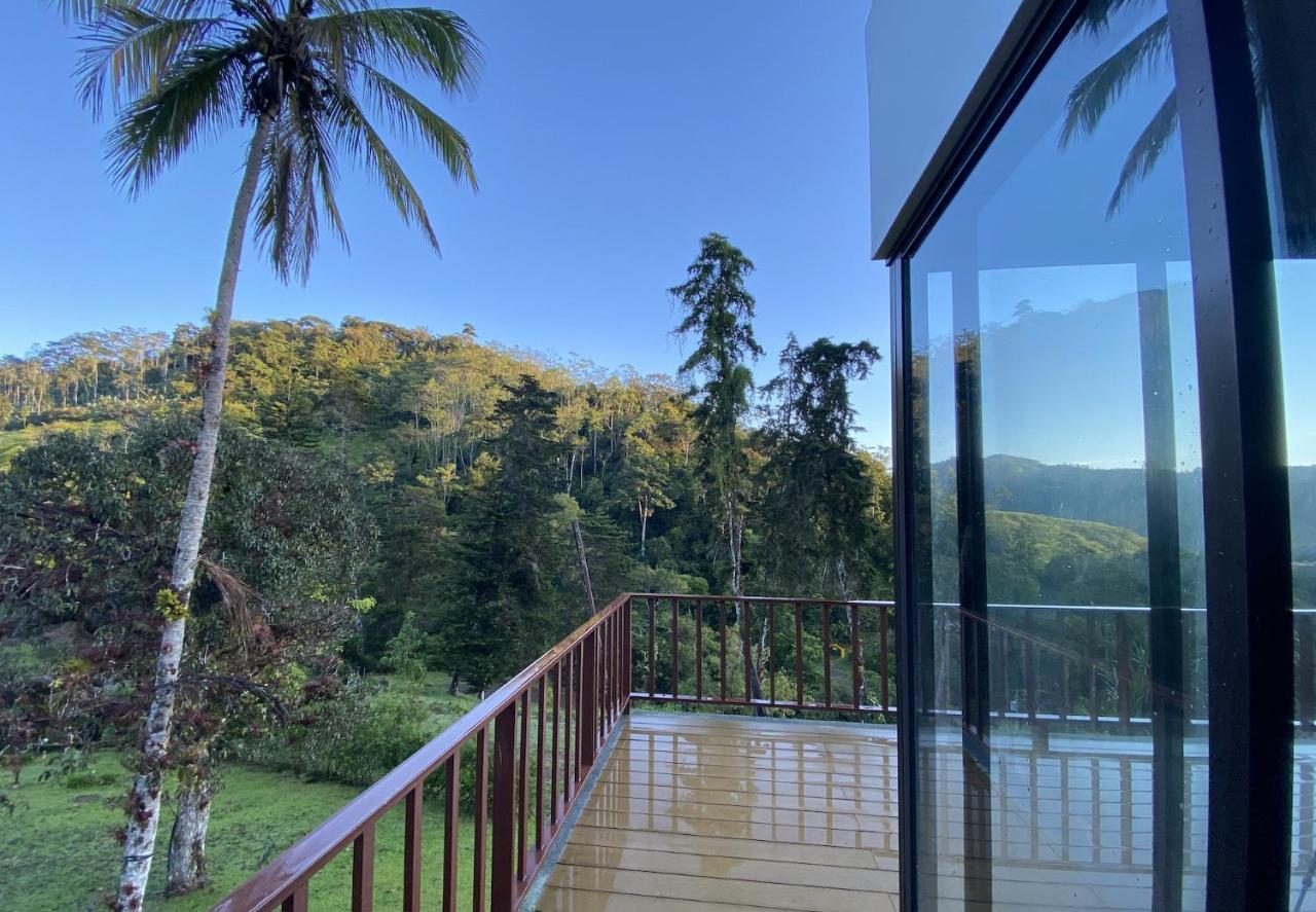 Arte De Plumas Birding Lodge Cartago Ngoại thất bức ảnh