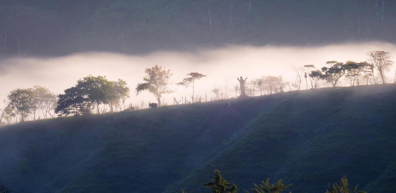 Arte De Plumas Birding Lodge Cartago Ngoại thất bức ảnh