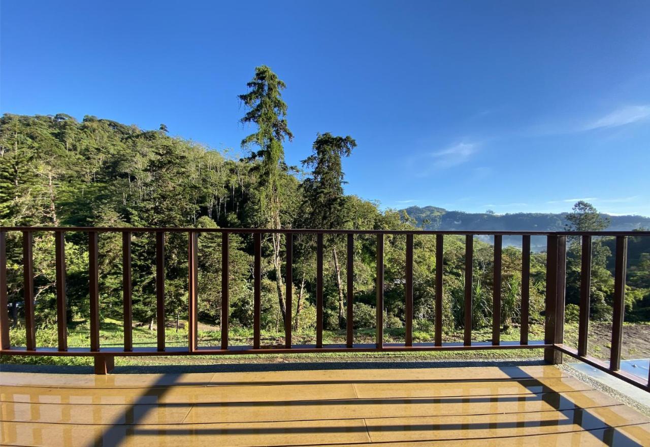 Arte De Plumas Birding Lodge Cartago Ngoại thất bức ảnh