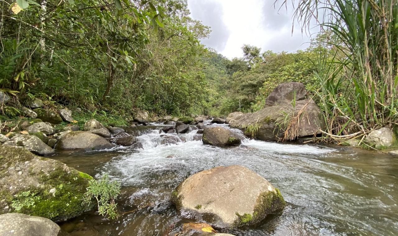 Arte De Plumas Birding Lodge Cartago Ngoại thất bức ảnh